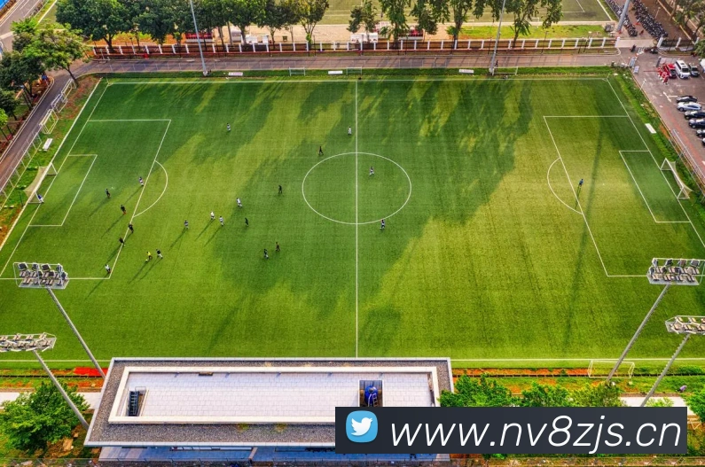 星空体育网站入口平台生态图