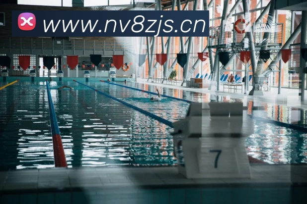 星空体育网站入口APP 封面图